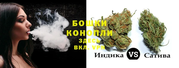 твердый Слюдянка