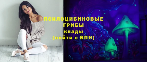 твердый Слюдянка