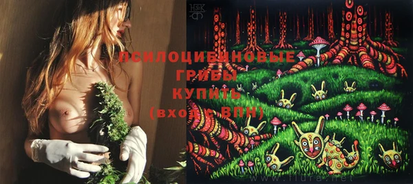 стаф Снежинск