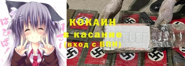 стаф Снежинск