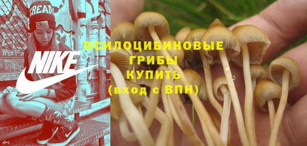 стаф Снежинск