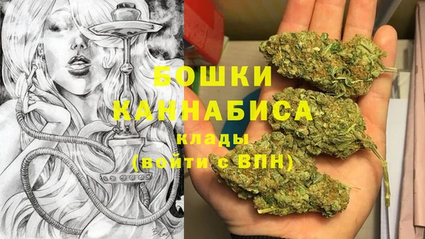 стаф Снежинск