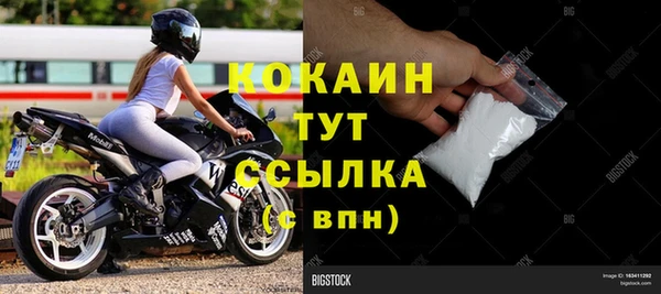 твердый Слюдянка