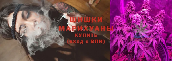 стаф Снежинск