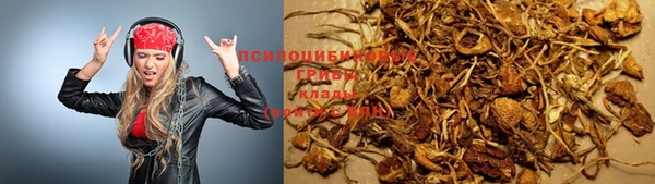 твердый Слюдянка