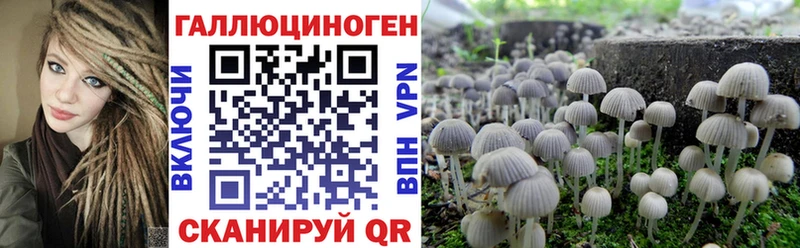 omg онион Балей Псилоцибиновые грибы прущие грибы